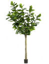 Kunstigt Ficus Lyrata træ H300 cm