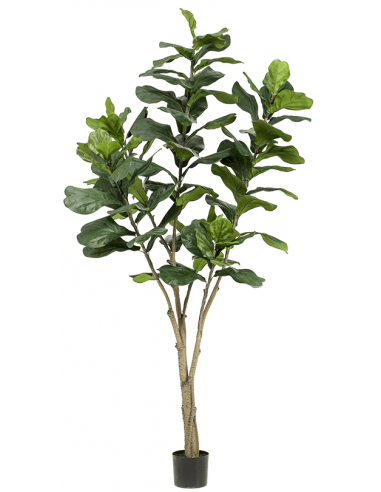 Kunstigt Ficus Lyrata træ H210 cm