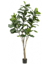 Kunstigt Ficus Lyrata træ H210 cm