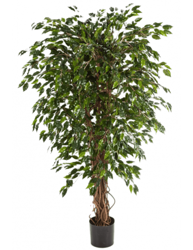 Kunstigt Ficus Liana træ H180 cm