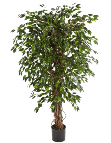 Kunstigt Ficus Liana træ H210 cm