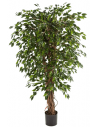 Kunstigt Ficus Liana træ H210 cm