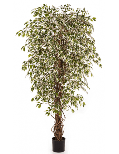 Kunstigt Ficus Liana træ H180 cm