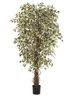 Kunstigt Ficus Liana træ...