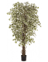 Kunstigt Ficus Liana træ H210 cm