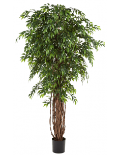 Kunstigt Ficus Liana træ...