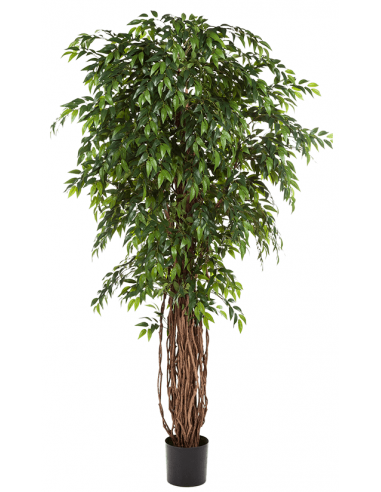 Kunstigt Ficus Liana træ H180 cm