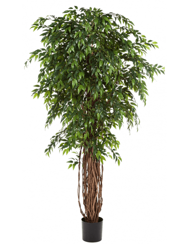 Kunstigt Ficus Liana træ H210 cm