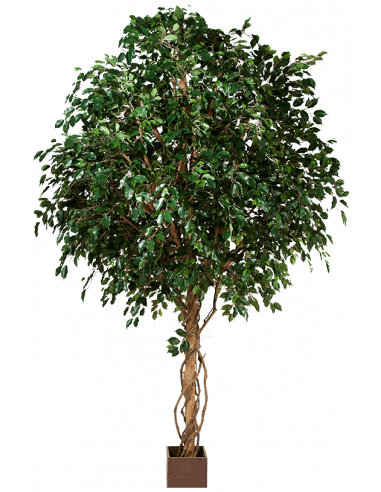 Kunstigt Ficus Exotica træ H360 cm