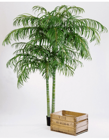 Kunstigt Areca palmetræ H210 cm