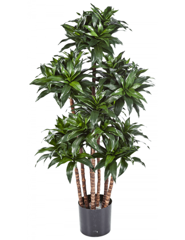 Kunstig Dracaena Fragrans plante H120 cm