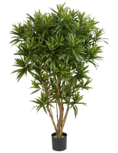 Kunstigt Dracaena Reflexa Jamaica træ...