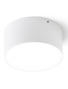 Larisa Udendørs loftlampe... 2