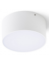 Larisa Udendørs loftlampe Ø12,3 cm 10W LED - Hvid