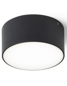 Larisa Udendørs loftlampe... 2