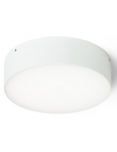 Larisa Udendørs loftlampe... 2