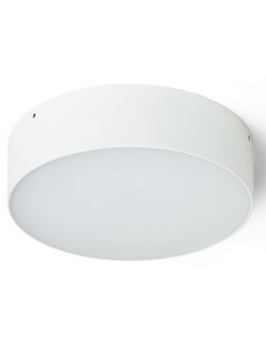 Larisa Udendørs loftlampe Ø22 cm 20W...