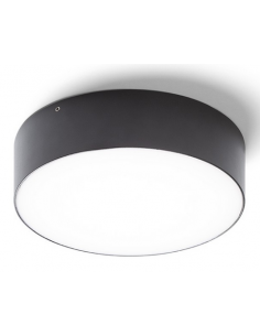 Larisa Udendørs loftlampe... 2