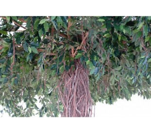 Stort kunstigt Chentræ H490 x Ø350 cm 2