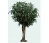 Stort kunstigt Ficustræ H650 cm