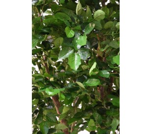 Stort kunstigt træ H340 cm 2