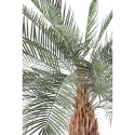 Stor kunstig Phoenix palmetræ H280 cm