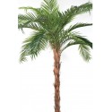 Stor kunstig Phoenix palmetræ H340 cm