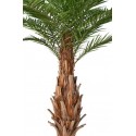 Stort kunstigt palmetræ H690 cm