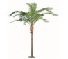 Stort kunstigt palmetræ H440 cm