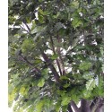 Stort kunstigt træ H350 cm