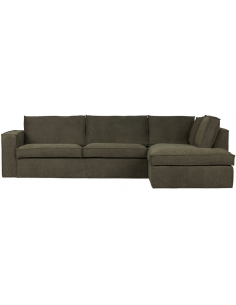 Chaiselong sofa 2