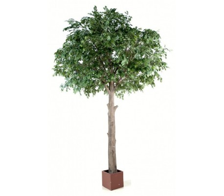 Stort kunstigt egetræ H300 cm