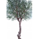 Stort kunstigt Oliventræ H215 cm