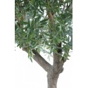 Stort kunstigt Oliventræ H215 cm