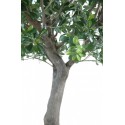 Kunstigt Sycamore træ H260 cm