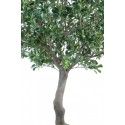 Kunstigt Sycamore træ H260 cm