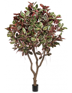 stort kunstigt træ ficus elastica kontorbeplantning