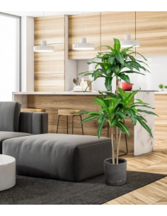 kunstige planter dracanea palme indendørs 2