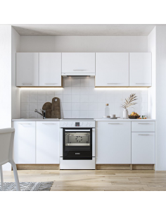 komplet køkken eg sommerhus lejlighed lille