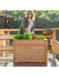højbed plantekasser havedekoration højbede træ 2