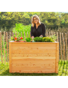 højbed plantekasser havedekoration højbede træ 2
