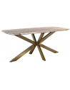 BOTTEGA Ovalt spisebord i jern og marmor 220 x 100 cm - Antik messing/Gråbrun marmor