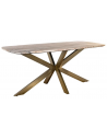 BOTTEGA Ovalt spisebord i jern og marmor 180 x 90 cm - Antik messing/Gråbrun marmor