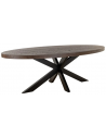 WATSON Ovalt spisebord i jern og egetræ 300 x 120 cm - Sort/Mørkebrun