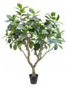 Kunstigt Ficus botanica træ H240 cm