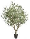 Kunstigt Eucalyptus træ H240 cm
