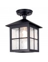 WINCHESTER Udendørs loftlampe i aluminium og glas H28 cm 1 x E27 - Sort/Frostet