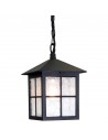WINCHESTER Udendørs loftlanterne i aluminium og glas H40 - 52,5 cm 1 x E27 - Sort/Frostet