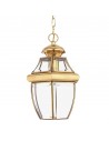NEWBURY Udendørs loftlampe i messing og glas Ø20,8 cm 1 x E27 - Lakeret poleret messing/Klar