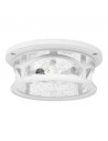 MARBLEHEAD Udendørs loftlampe i komposit og glas Ø33 cm 2 x E27 - Mat hvid/Klar med dråbeeffekt